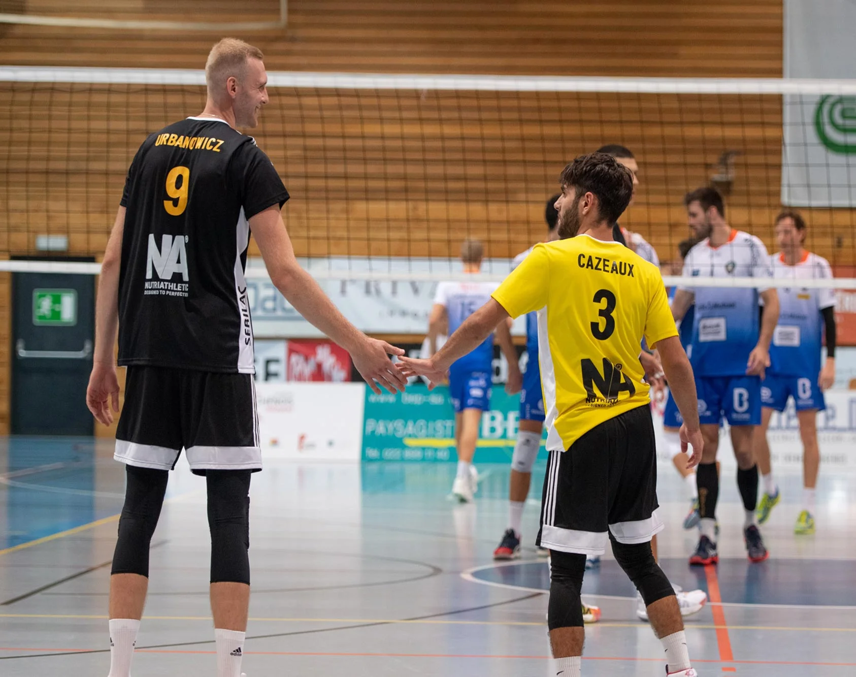 Volley