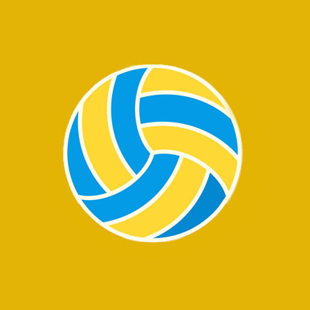 Volley Pro